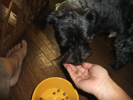 手からしか食べへん