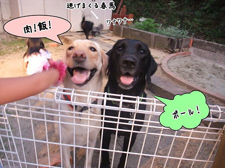 2頭揃って眼中にナシ