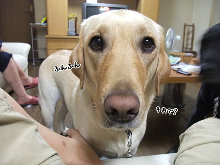 何々?