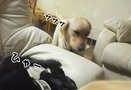 ひゃー