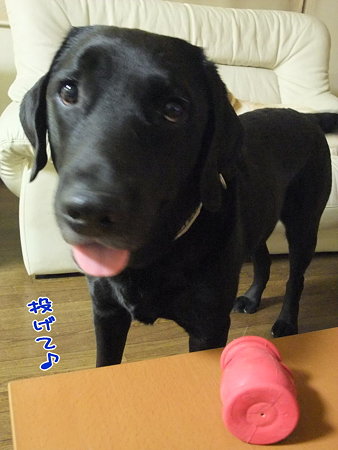 投げて
