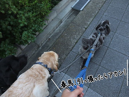アカン!