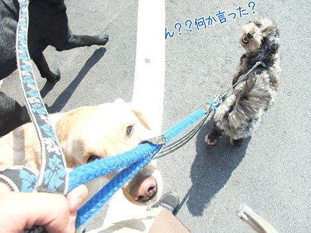 何か言った?