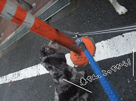 こっちから