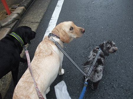 なんか言った??