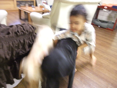 つかまえようとする