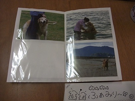 幸せ一杯の素敵な写真達