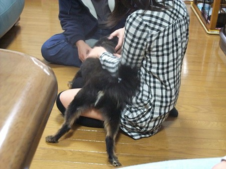 お姉ちゃんにも甘える甘える