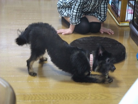 ポーズが可愛い♪