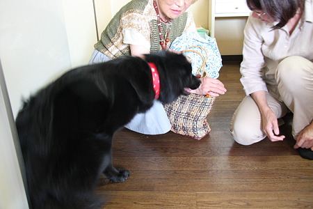 怖くないよ