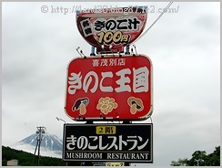 06521