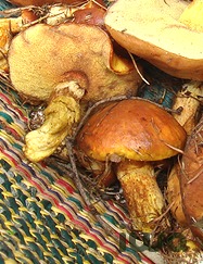 07839.jpg