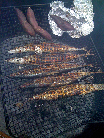 さんま焼きたて