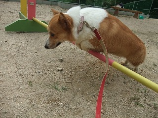 2009_08300012