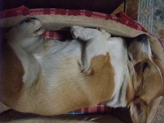 2009_10100008