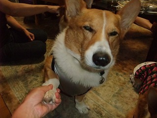 2009_0921ワン友と会う0165