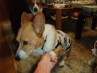 2009_0921ワン友と会う0164