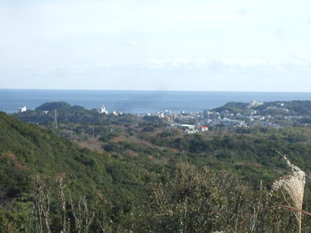 DSCF6029