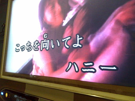 こっちをむいてよハニー！