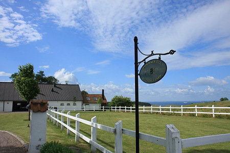 DPP_1531