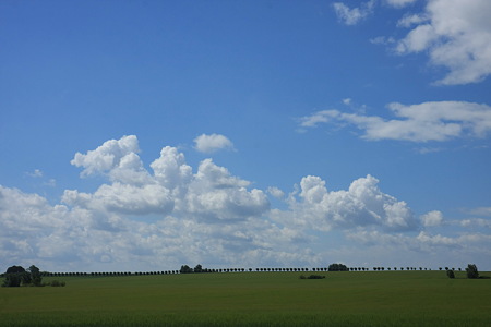 DPP_1537