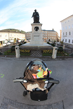 DPP_2313