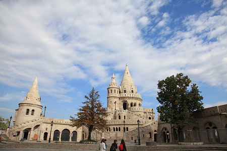 DPP_2501