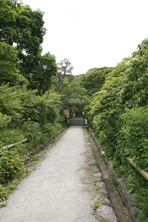浄瑠璃寺 - 01