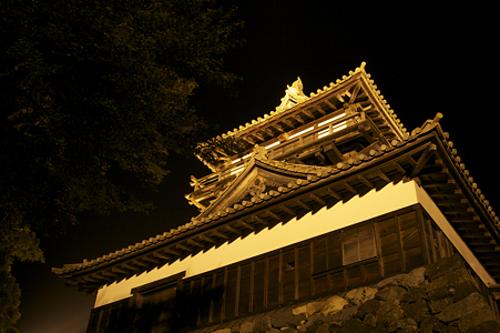 丸岡城ライトアップ -05