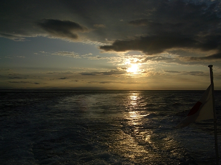IMGP5459