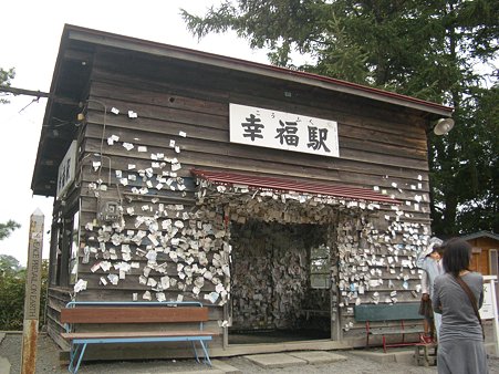 IMGP5563