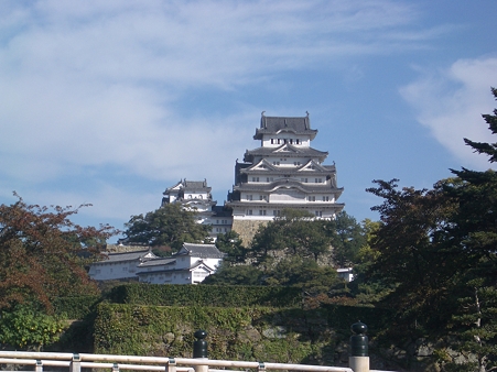 IMGP5636