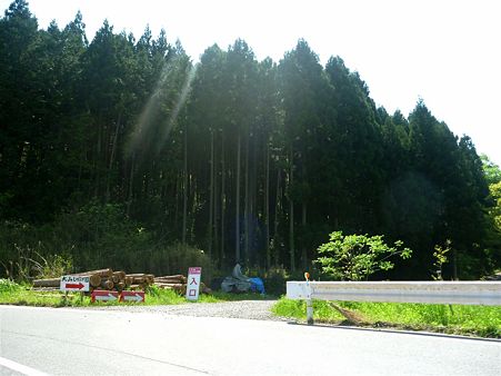 P1100442