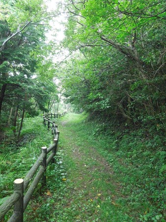 DSCN3622