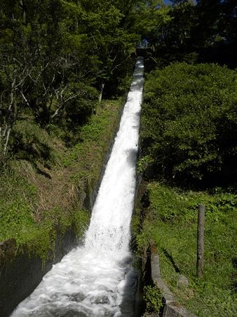 DSCN3299