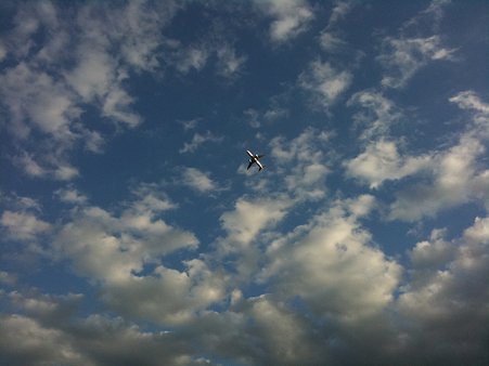 飛行機