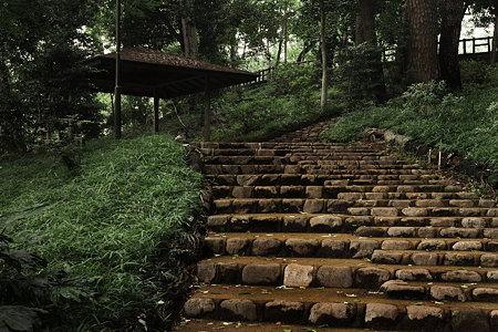 宝来公園