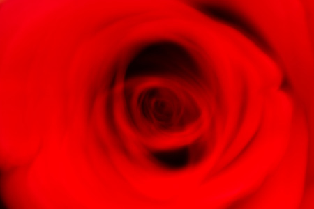 花の輪