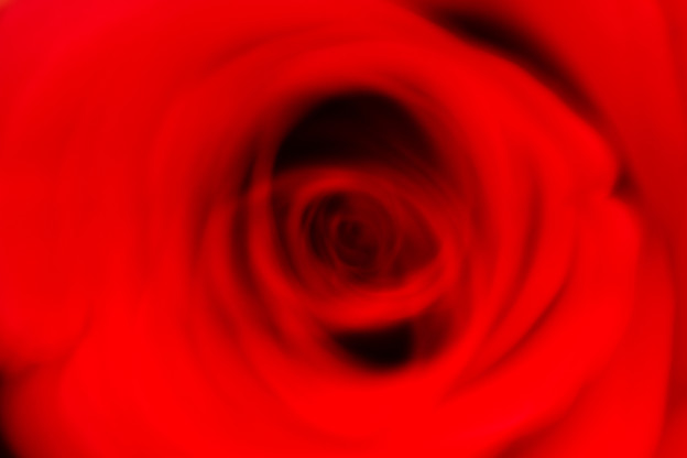 花の輪