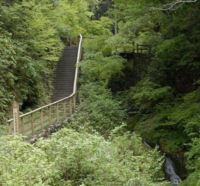 白岩の滝遊歩道1