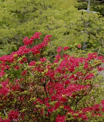 三つ合3