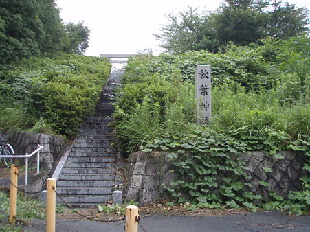 P8016210