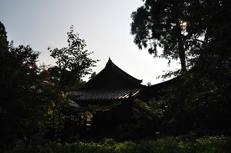 1008221554_DSC_9365