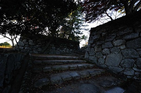 1011231535_DSC_4807