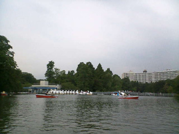 20091007_3020901