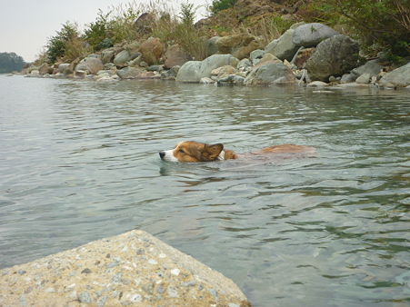 P1000215