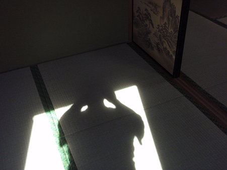 P7150015