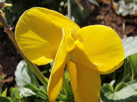 018