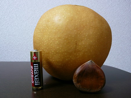 P1020087