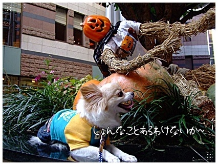 DSCF1210